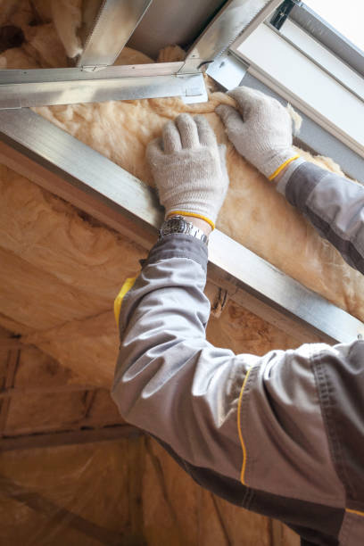 Insulation Contractors for Homes in Hemet, CA